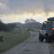 023stiegholzer_afrika_2015.jpg